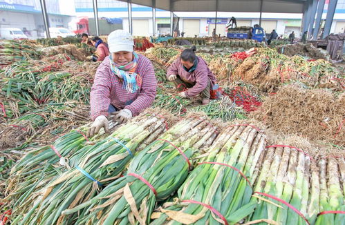22年圓夢創城 顏值與魅力俱增，文明與發展共舞——聚焦食用農產品批發