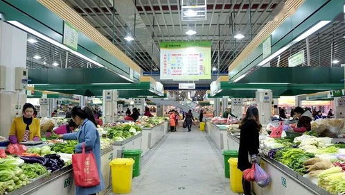 路橋食光 共享美味，打造農產品批發新生態